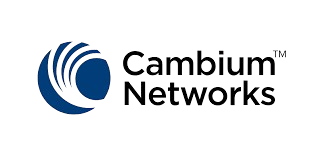 Cambium
